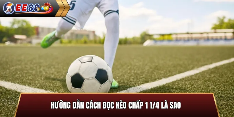 Hướng dẫn cách đọc kèo chấp 1 1/4