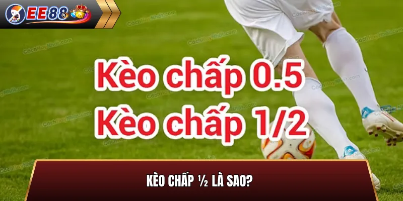 Kèo chấp ½  là sao?