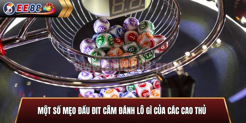 Mẹo đầu đít câm đánh lô gì từ cao thủ EE88