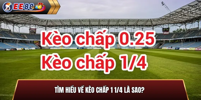 Kèo chấp 1 1/4 là sao và cách đọc