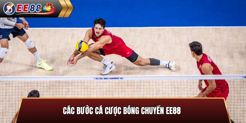 6 bước cá cược bóng chuyền