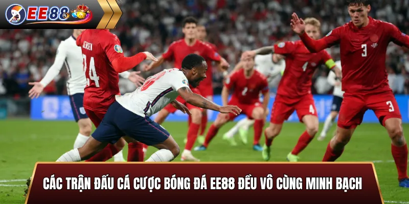 Các trận cá cược bóng đá minh bạch