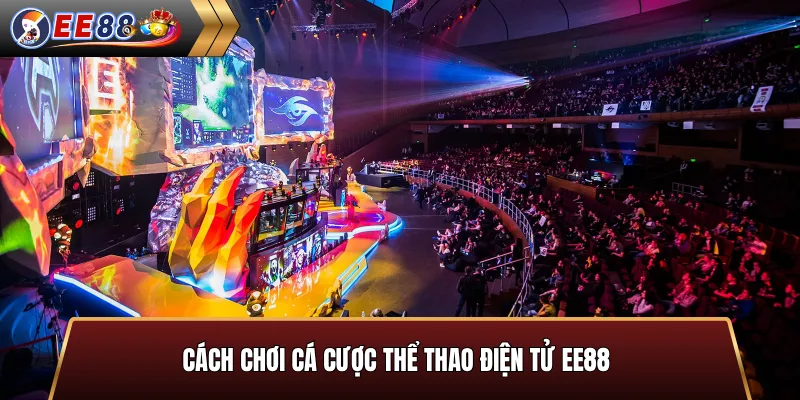 Cách chơi cá cược thể thao điện tử EE88