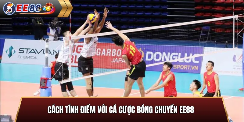 Cách tính điểm cược bóng chuyền online
