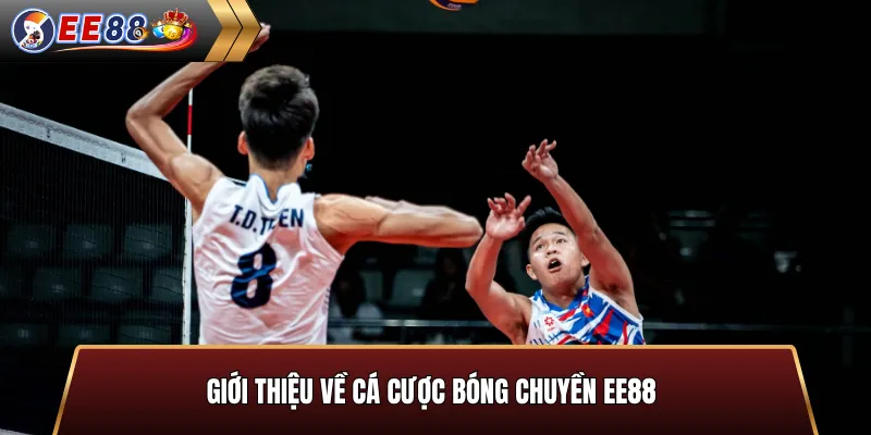 Giới thiệu cá cược bóng chuyền EE88