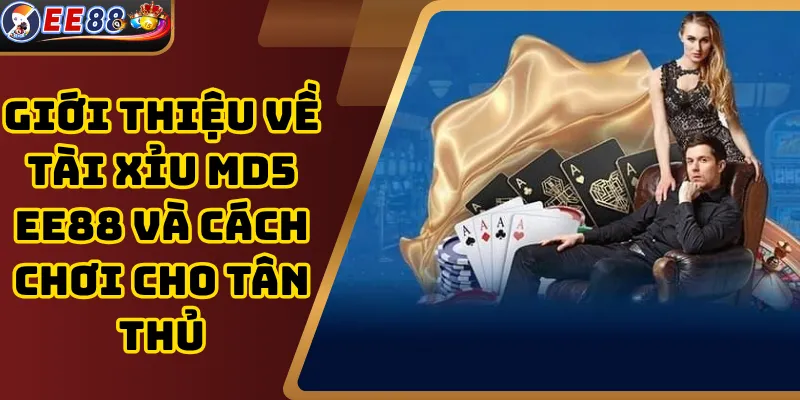 Giới thiệu về tài xỉu MD5 EE88 và cách chơi cho tân thủ