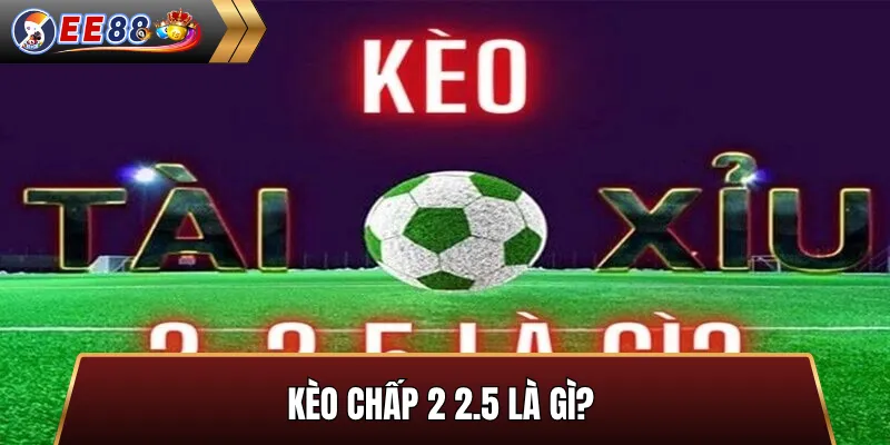 Kèo chấp 2 2/5 là gì và cách đọc