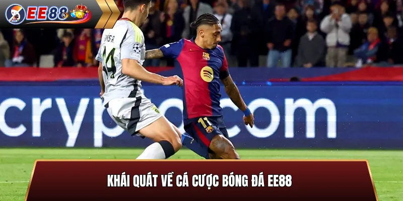 Khái quát cá cược bóng đá với 5 sảnh