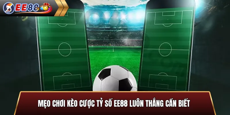 Mẹo chơi hình thức cược này hiệu quả