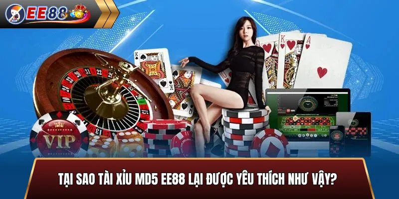Tại sao tài xỉu MD5 được yêu thích