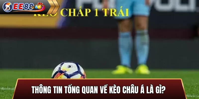 Cách tính tiền kèo chấp 1 trái