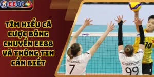 Tìm hiểu cá cược bóng chuyền EE88 và thông tin cần biết