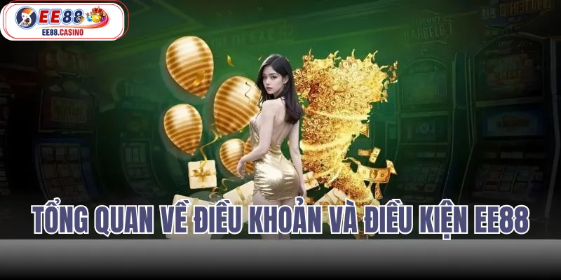 Tổng Quan Về Điều Khoản Và Điều Kiện EE88