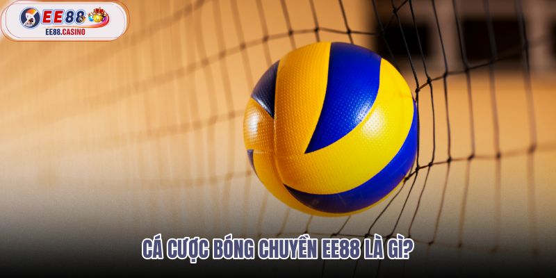 ca-cuoc-bong-chuyen-ee88-la-gi ca-cuoc-bong-chuyen-ee88-la-gi