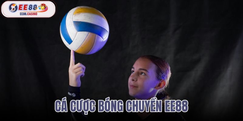 cá cược bóng chuyền ee88
