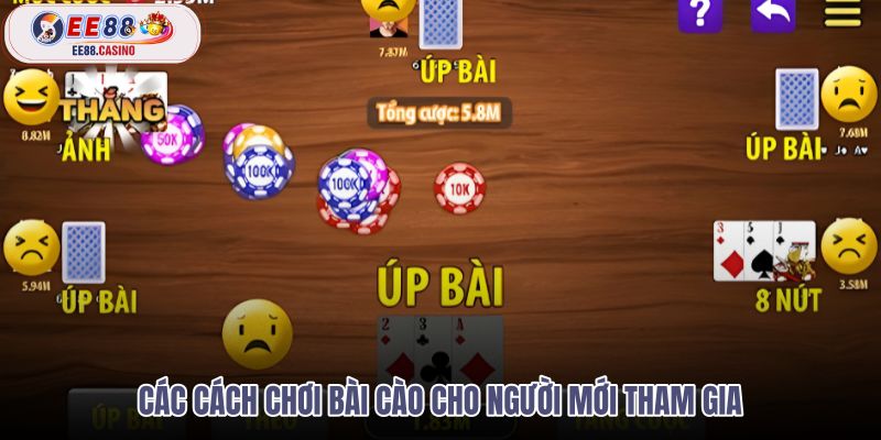 cac-cach-choi-bai-cao-cho-nguoi-moi-tham-gia cac-cach-choi-bai-cao-cho-nguoi-moi-tham-gia