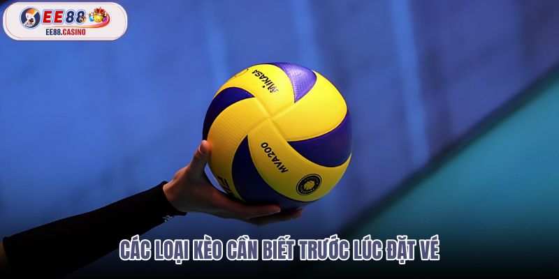 cac-loai-keo-can-biet-truoc-luc-dat-ve cac-loai-keo-can-biet-truoc-luc-dat-ve