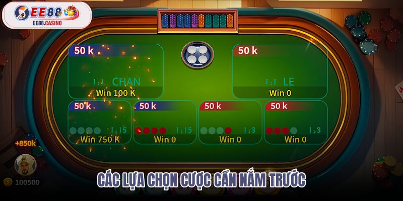 cac-lua-chon-cuoc-can-nam-truoc