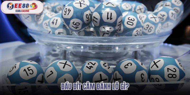 đầu đít câm đánh lô gì