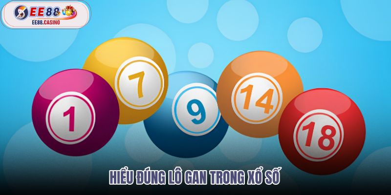 hieu-dung-lo-gan-trong-xo-so hieu-dung-lo-gan-trong-xo-so