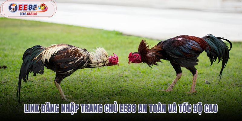 link-dang-nhap-trang-chu-ee88-an-toan-va-toc-do-cao