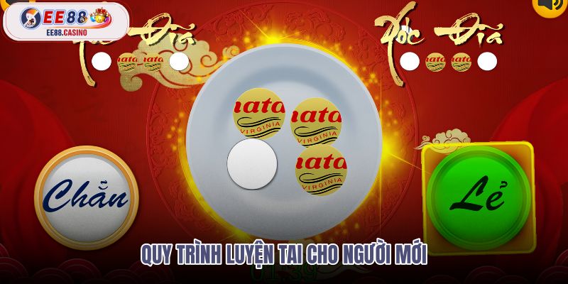 quy-trinh-luyen-tai-cho-nguoi-moi