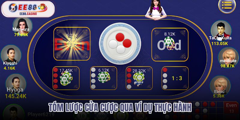 tom-luoc-cua-cuoc-qua-vi-du-thuc-hanh